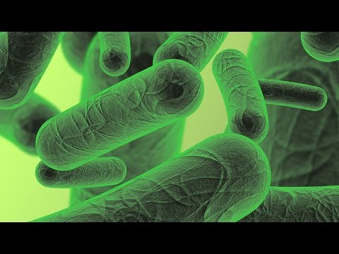¿Qué caracteristicas tiene el reino monera?